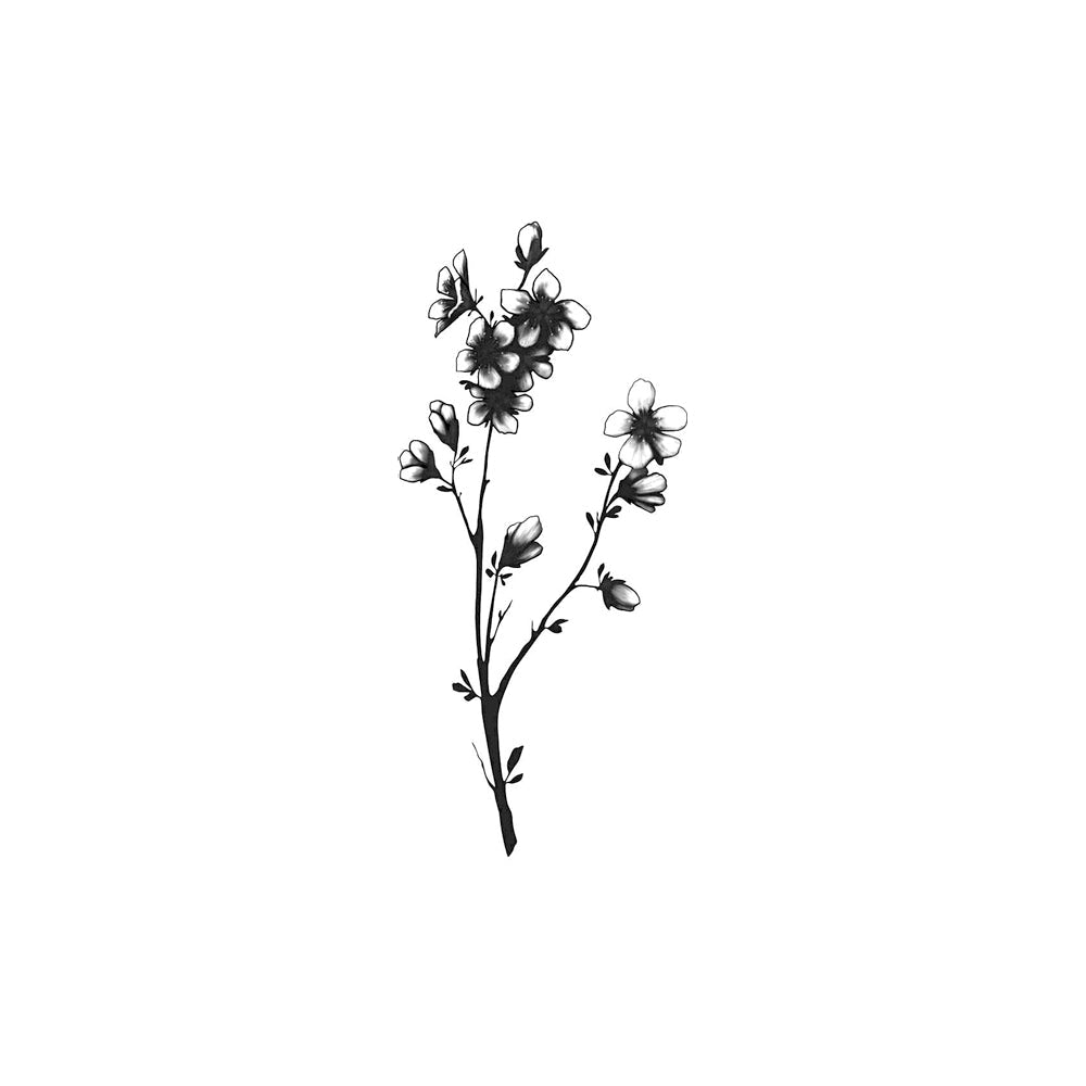 Sakura 5 x 2 in