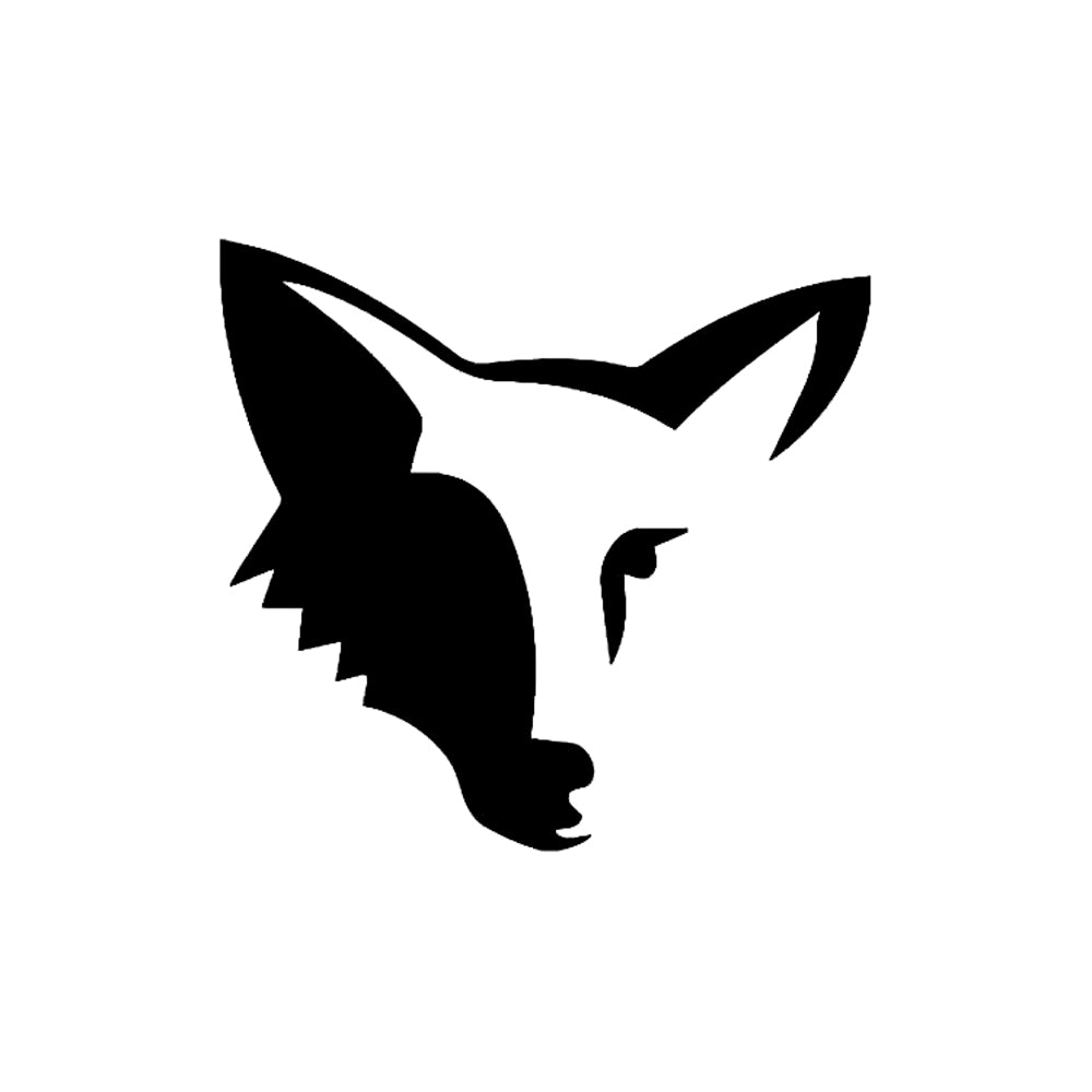 Zorro 2 x 2 in