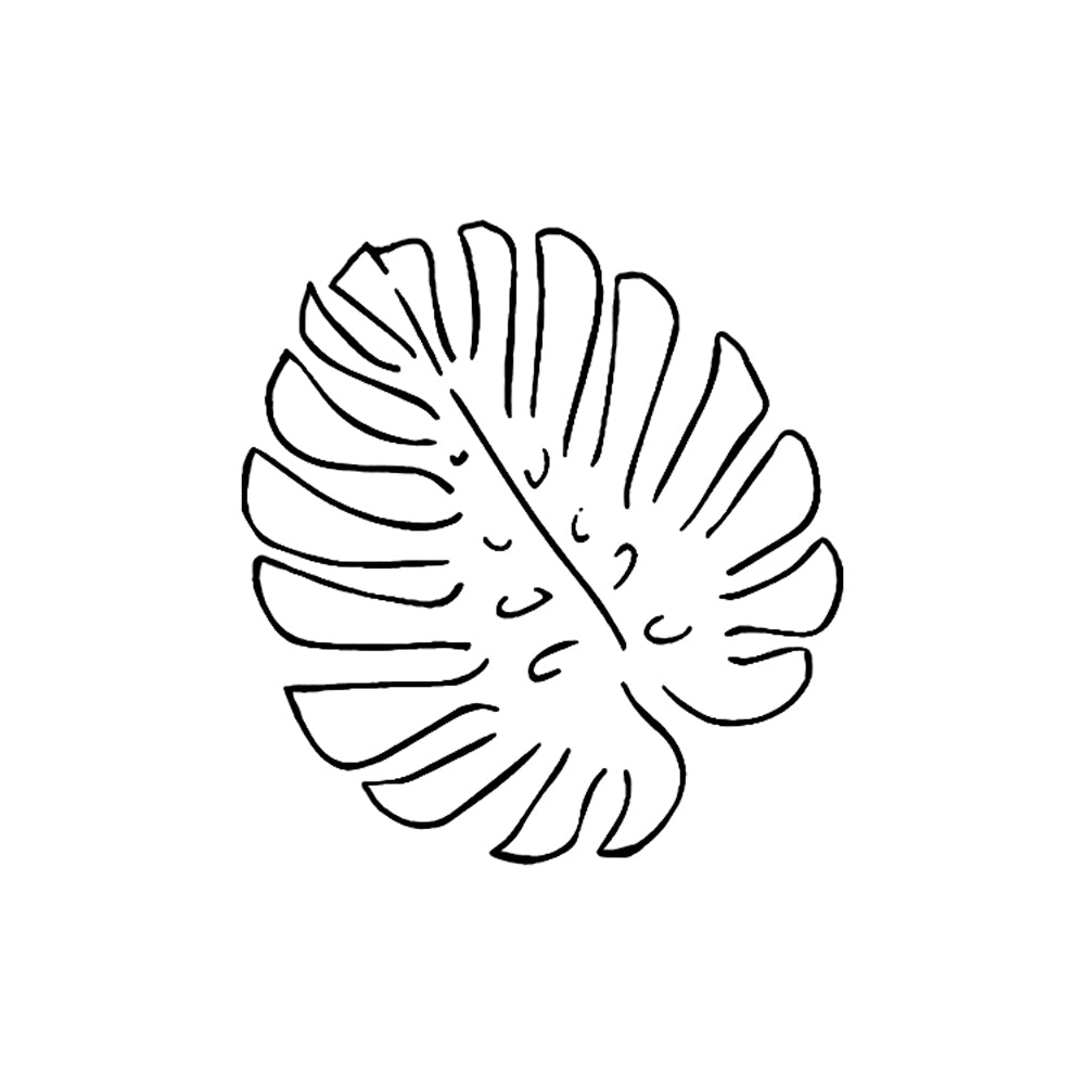 Monstera 2 x 2 in