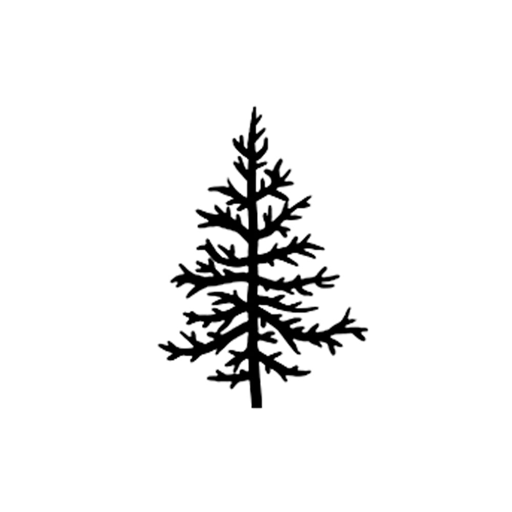 Evergreen 1 x 1 in