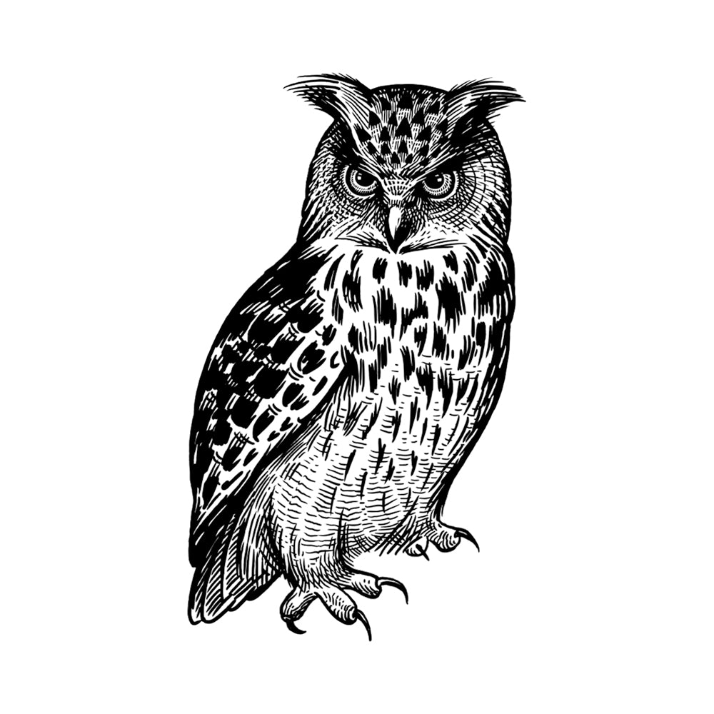 Wild Wisdom 4 x 4 in
