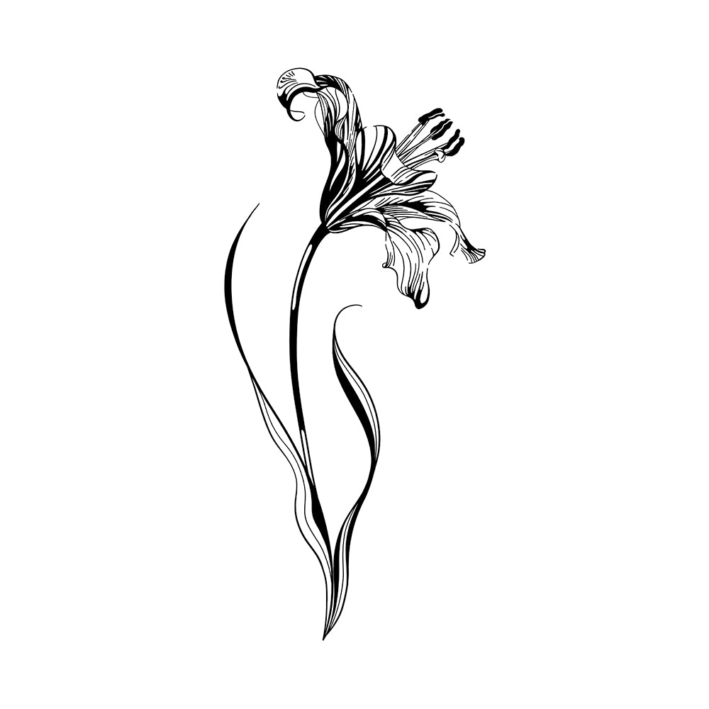 Lilly's Flow 6 x 3 in