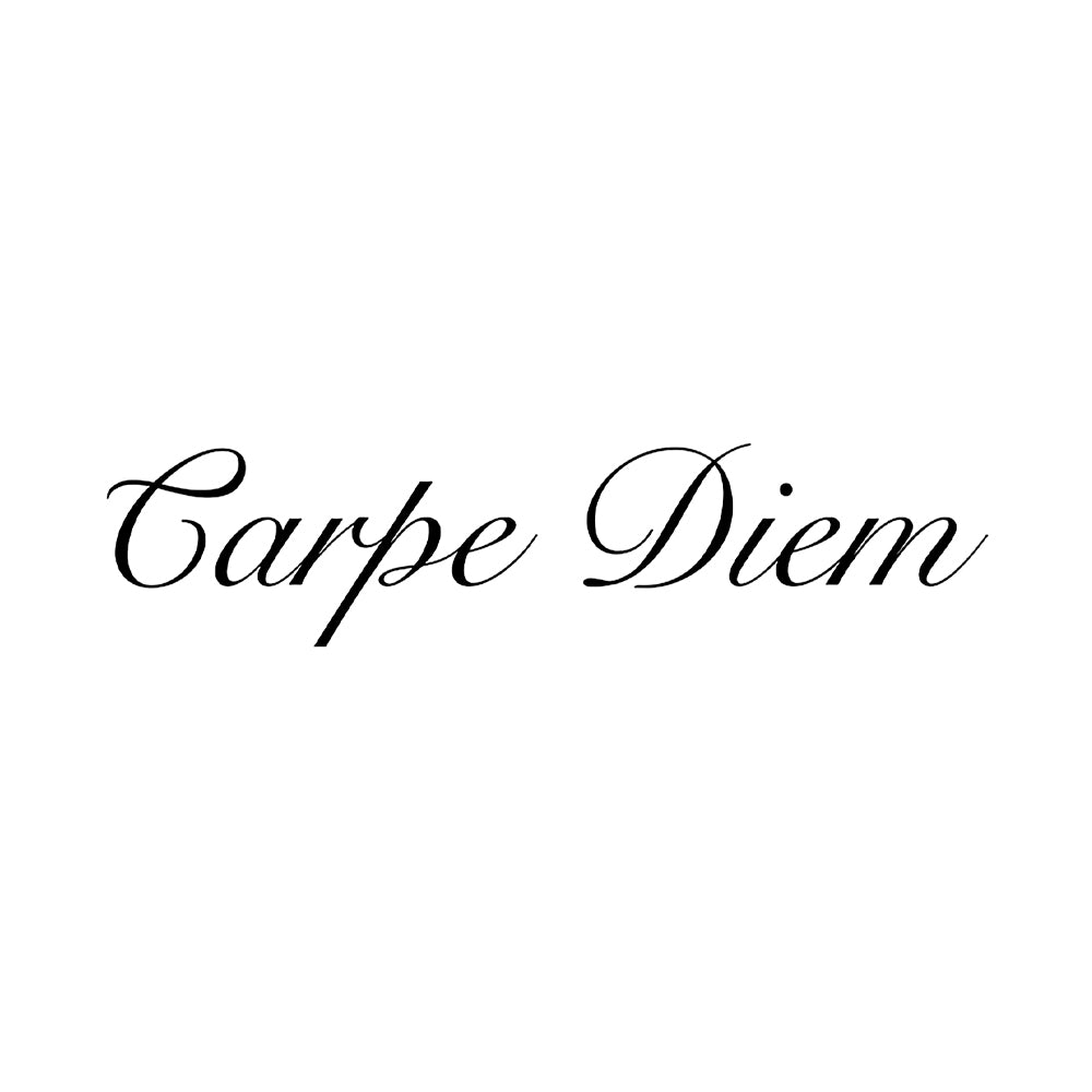 Seize The Day 5 x 2 in