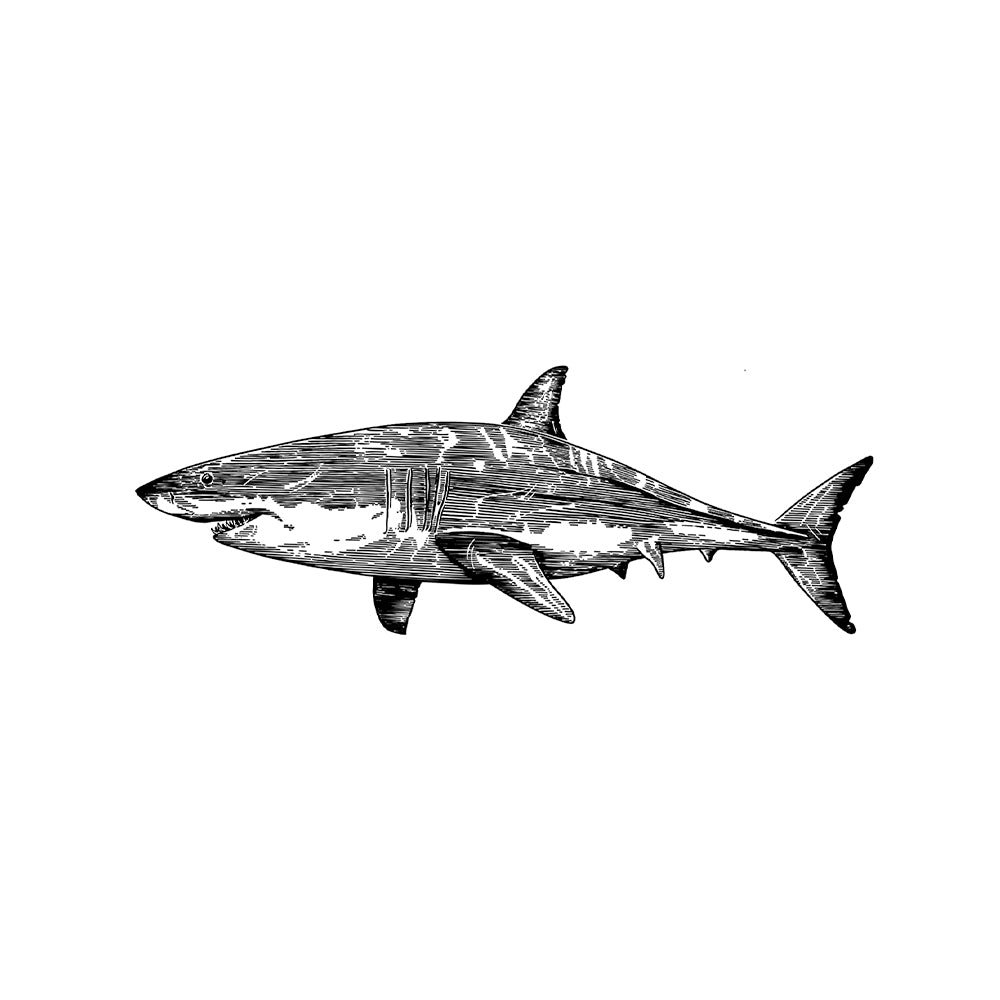 Great Ocean Guardian 5 x 2 in