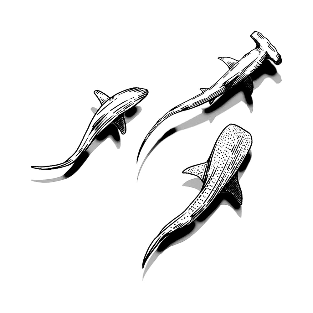 Shark Trident 4 x 4 in