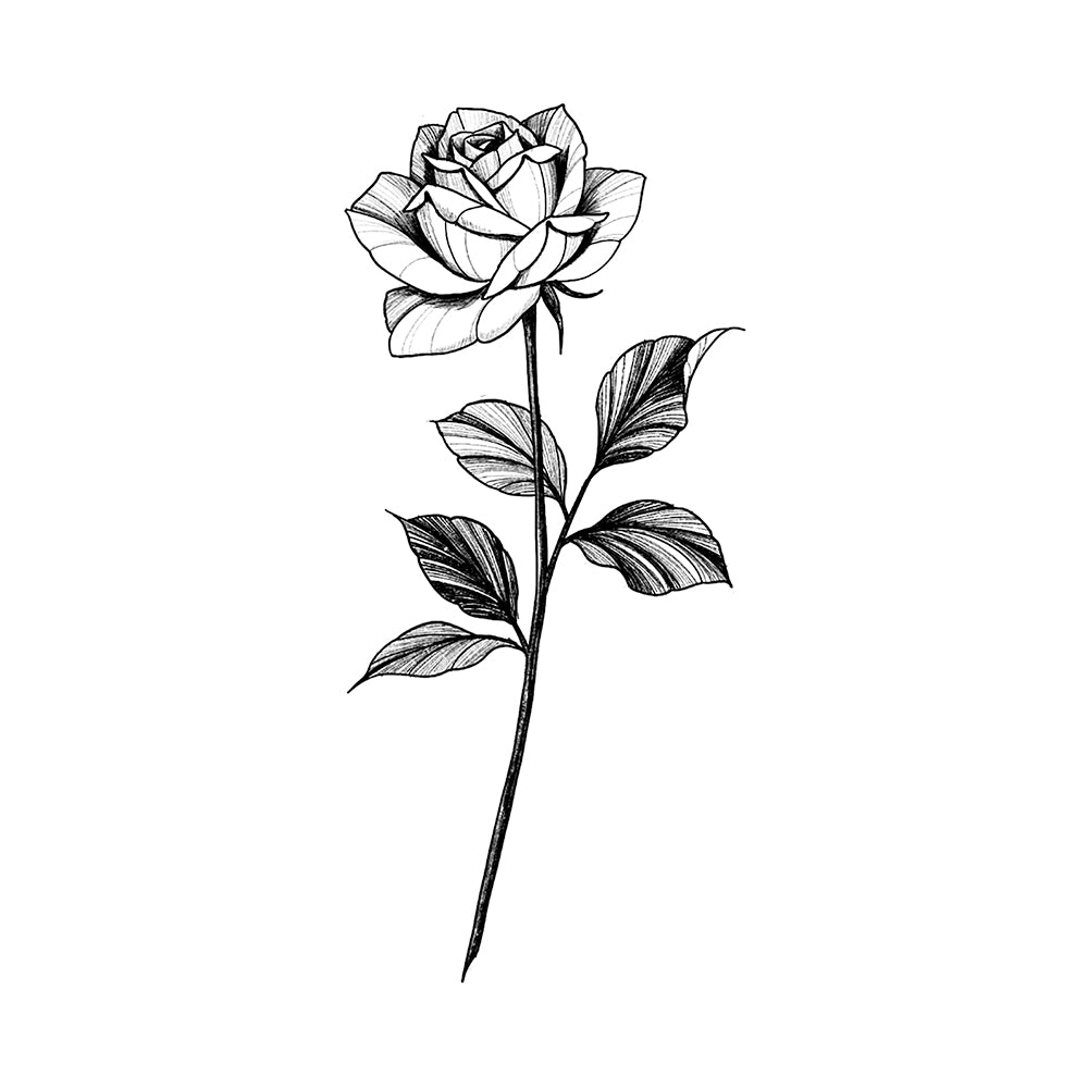 Rosy Disposition 6 x 3 in