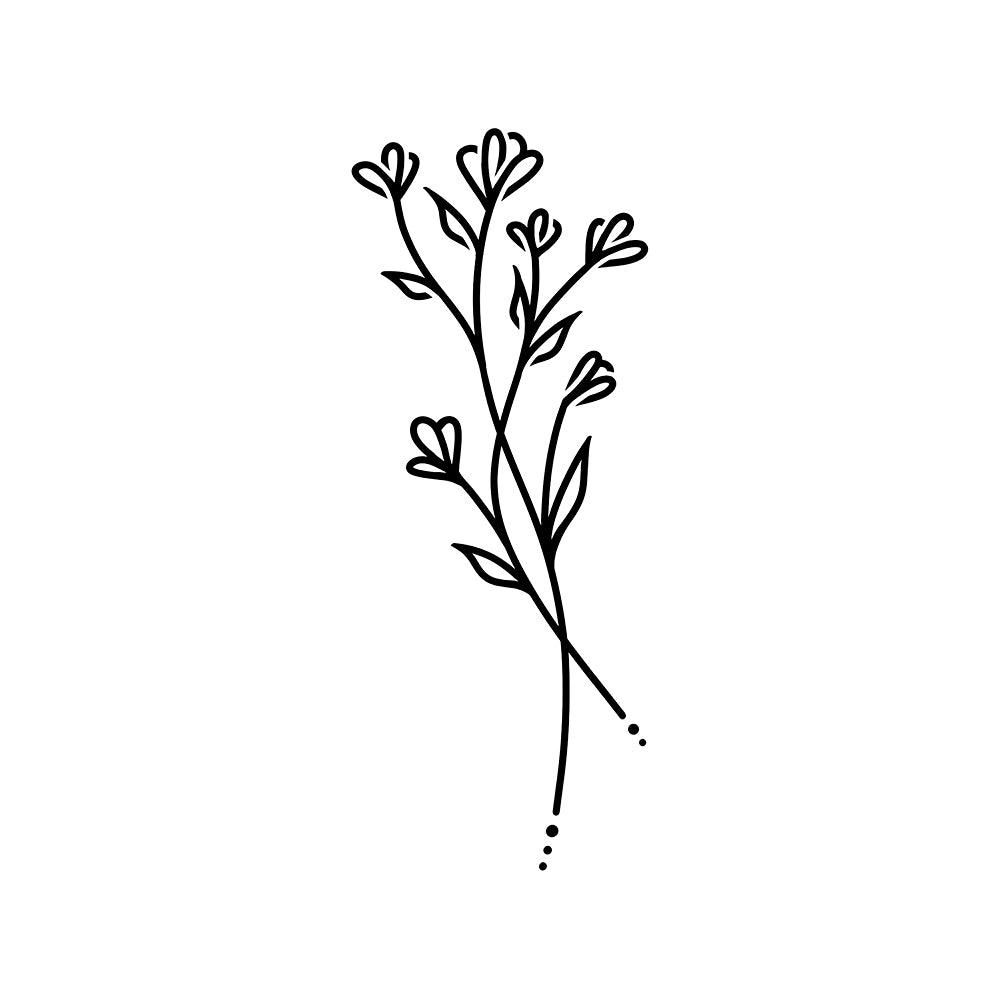 Baby's Breath 3 x 1.5 in
