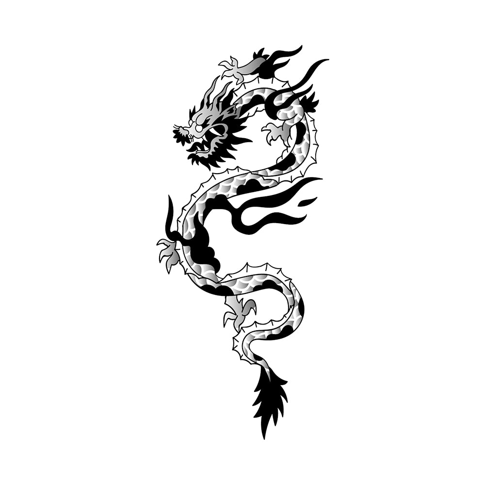 Dragao 6 x 3 in