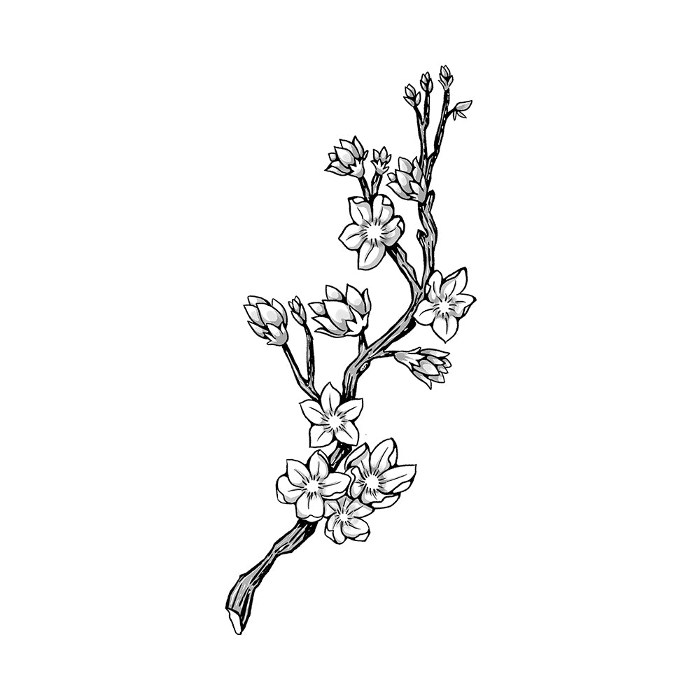 Sakura Branch 6 x 3 in