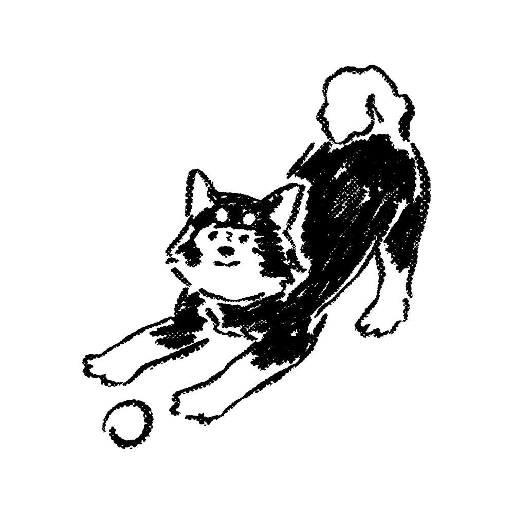 Fetch 3 x 3 in