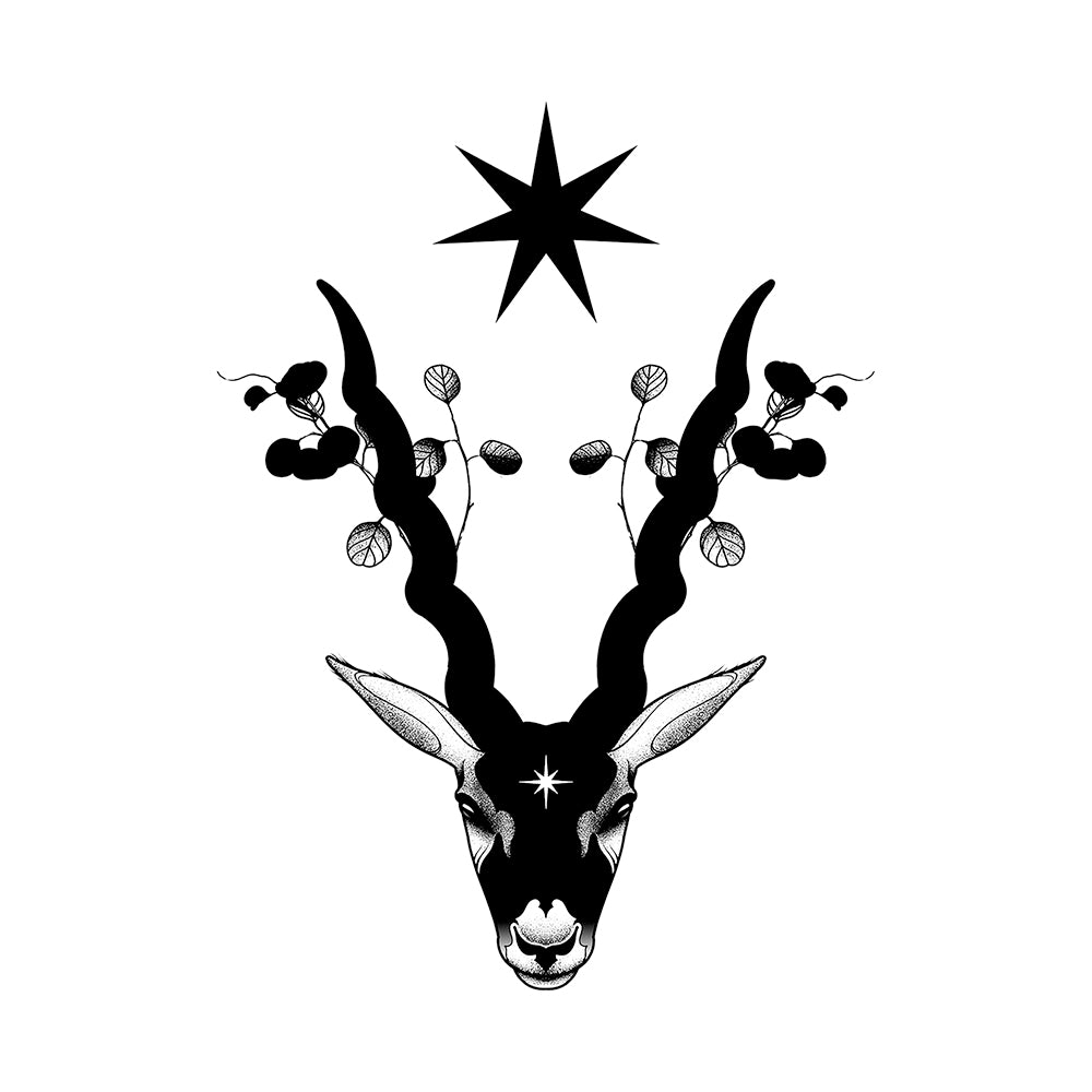 Wild Spirit 6 x 6 in