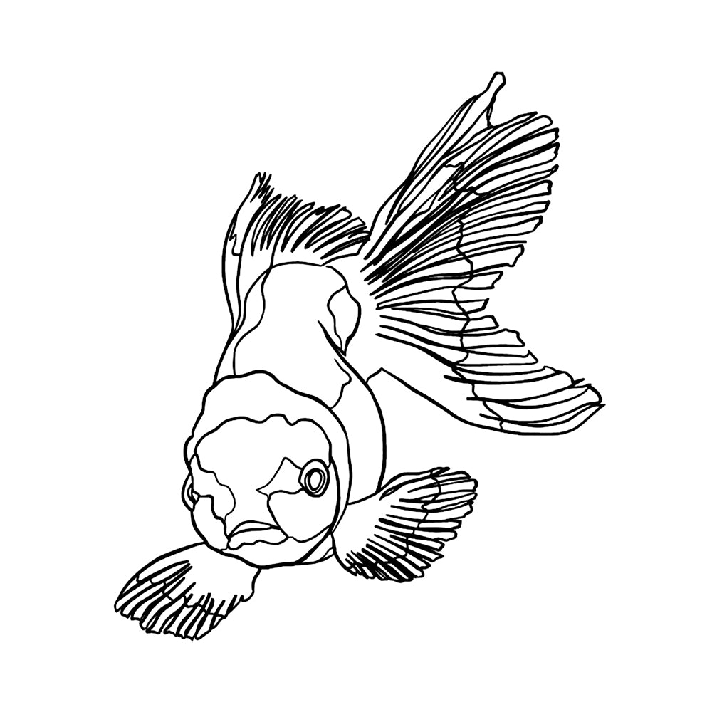 Nemo 4 x 4 in