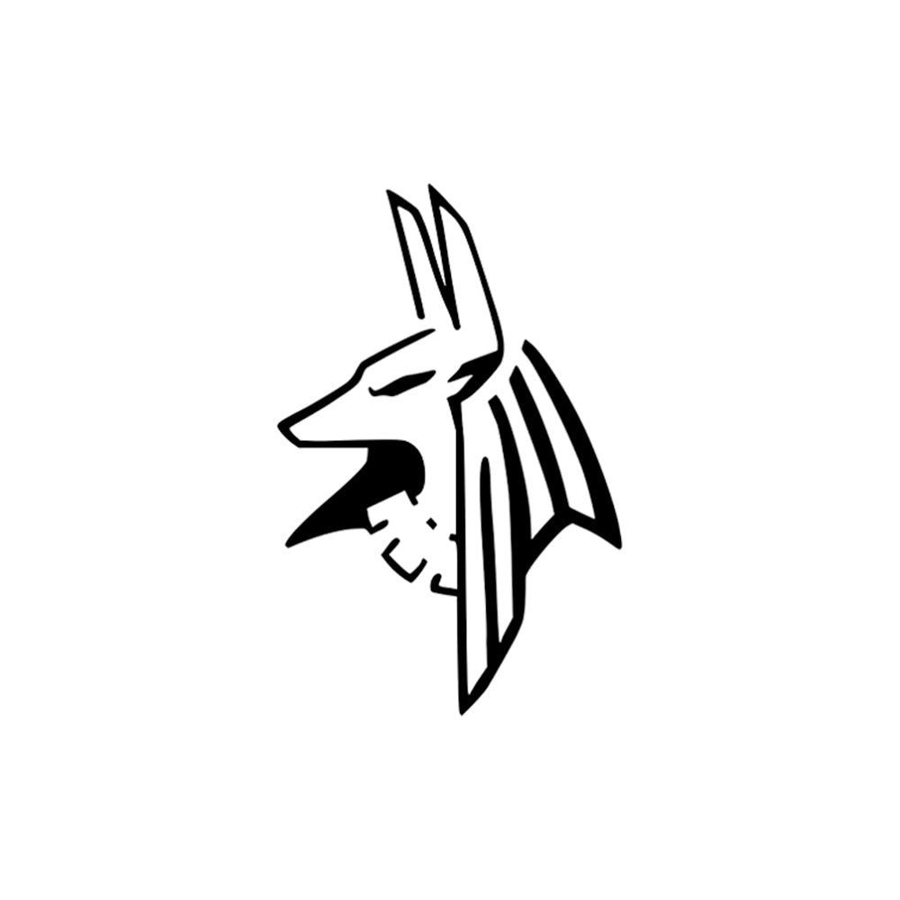 Anubis 2 x 2 in