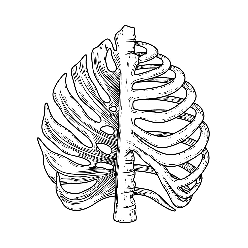Bone Dry Botany 4 x 4 in