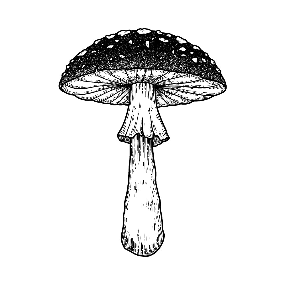 Forest Floor Offering 6 x 4 in