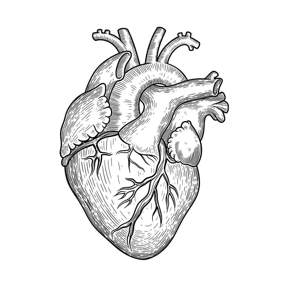 Heart On My Sleeve 6 x 6 in