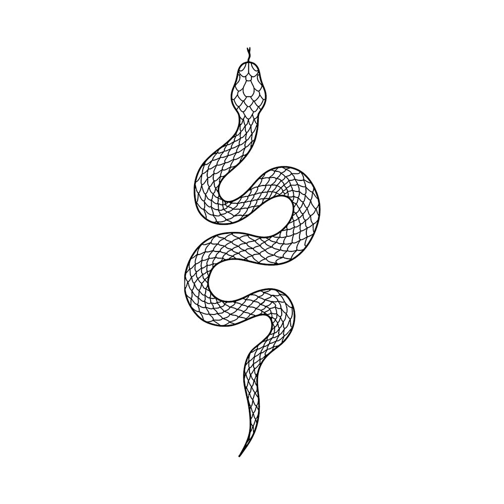 Infinite Temptation 6 x 3 in