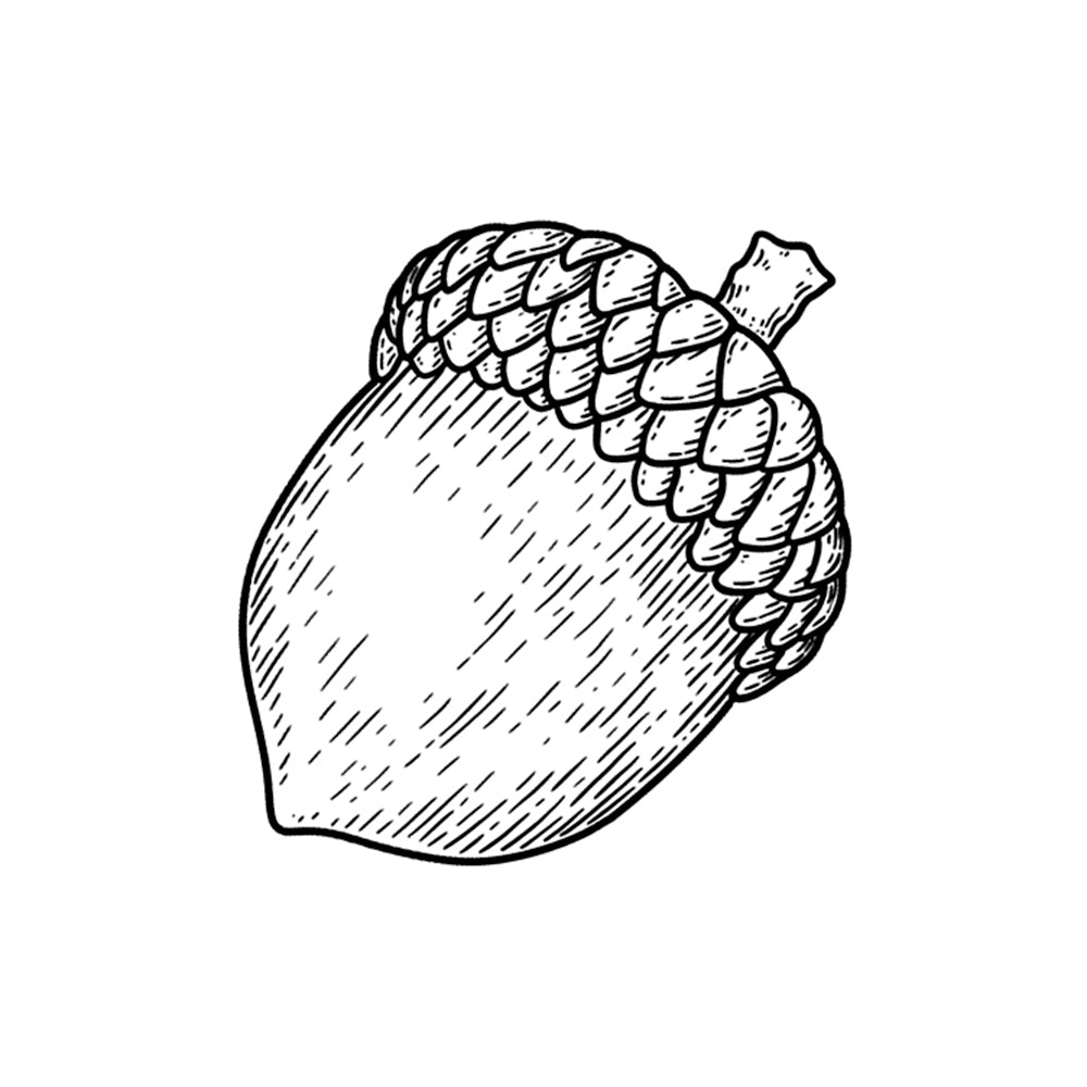Pocket-Sized Oak 2 x 2 in