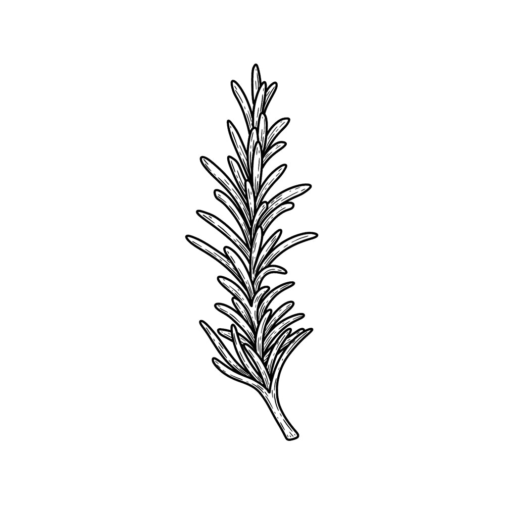 Sprig Wand 3 x 1.5 in