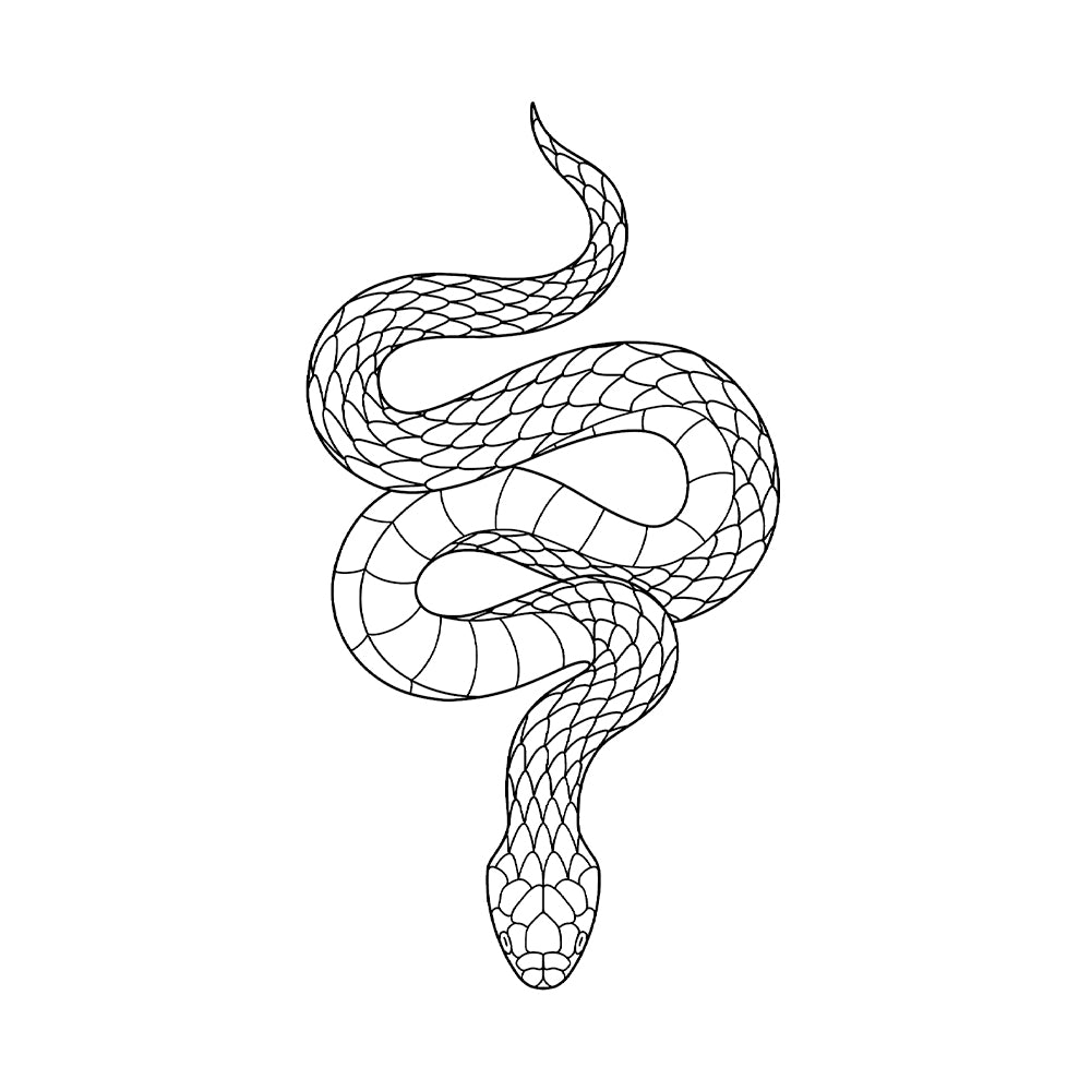 Coil of Inquiry 6 x 4 in