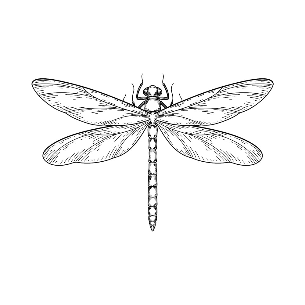 Winged Voyager 6 x 4 in