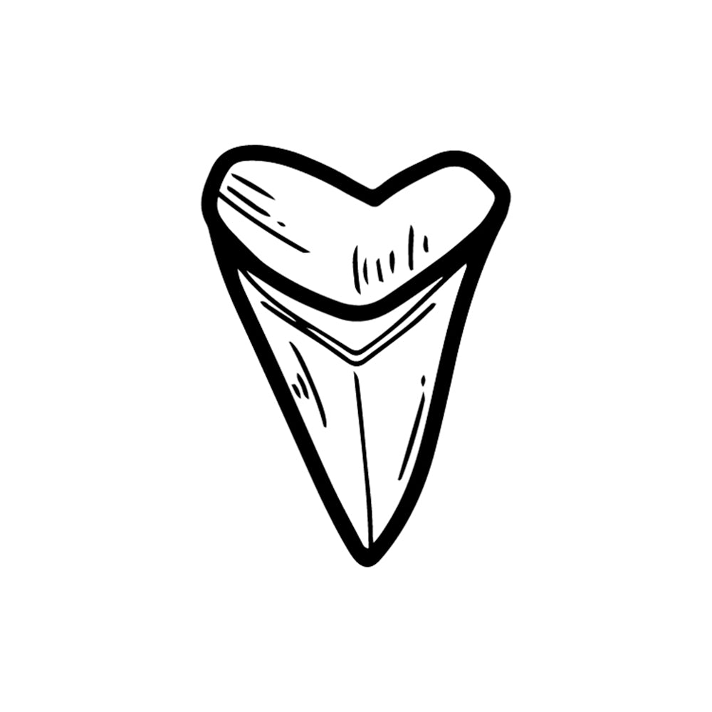 Sharp Shark 2 x 2 in