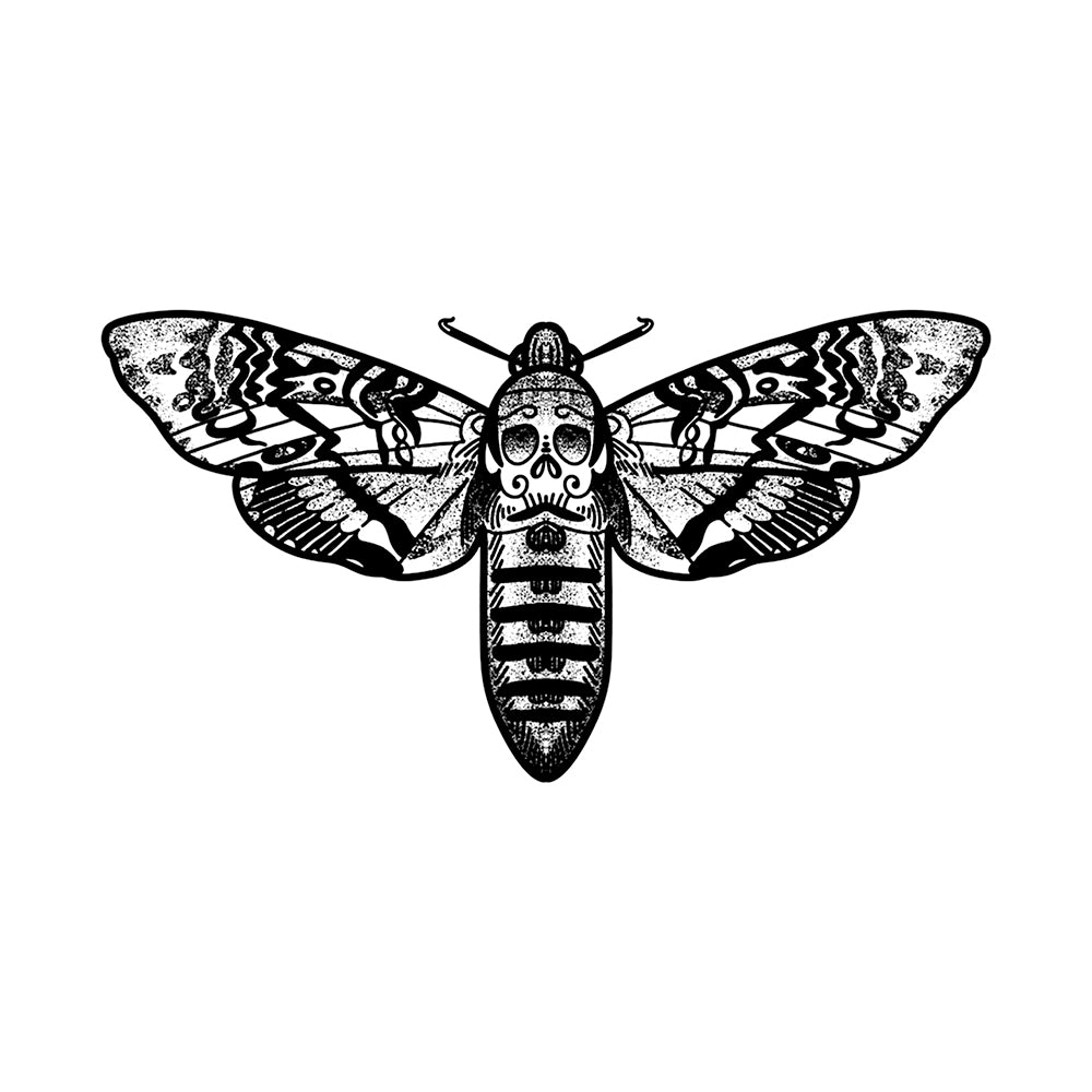 Acherontia 4 x 4 in