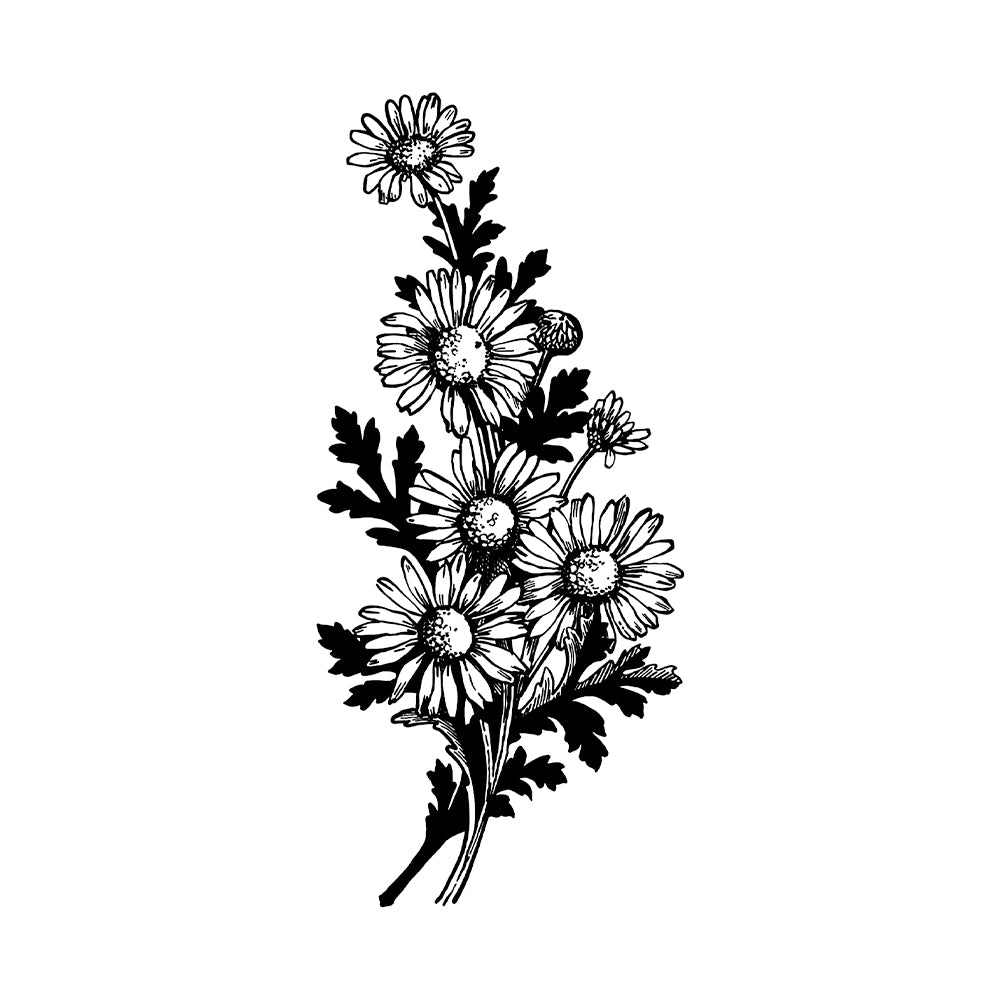 Quiet Bloom 6 x 3 in