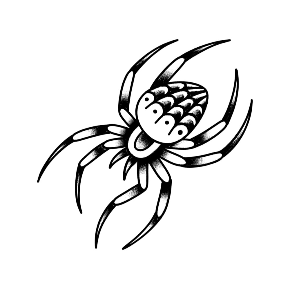 Orb Weaver 3 x 3 in