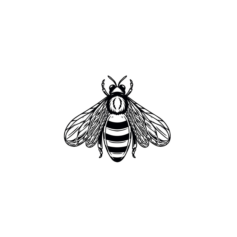 Baby Bee 1 x 1 in