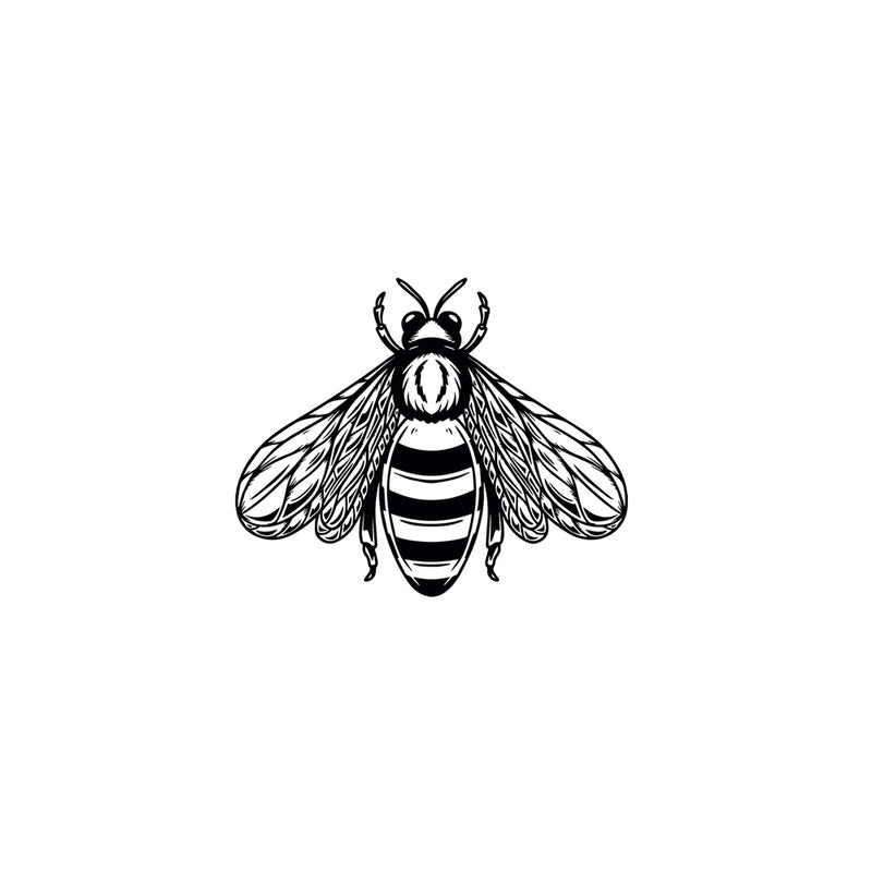 Baby Bee 1 x 1 in