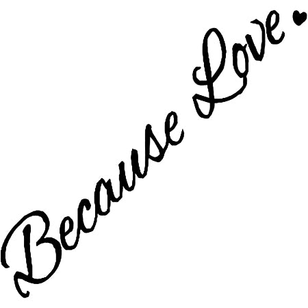 Because Love 2 x 2 in