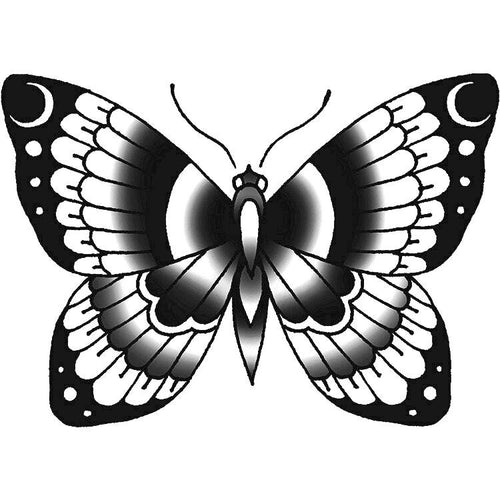Butterfly Effect 3 x 3 in