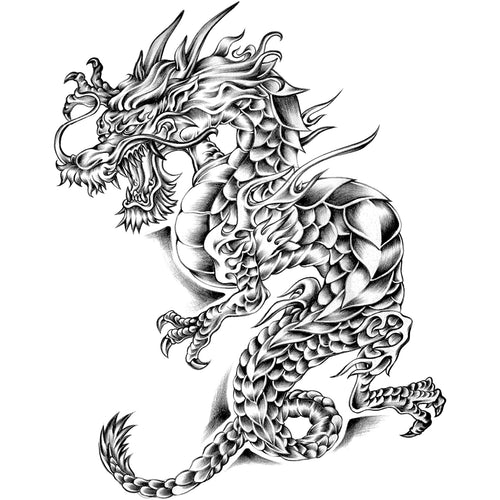 Ancient Dragon 6 x 6 in