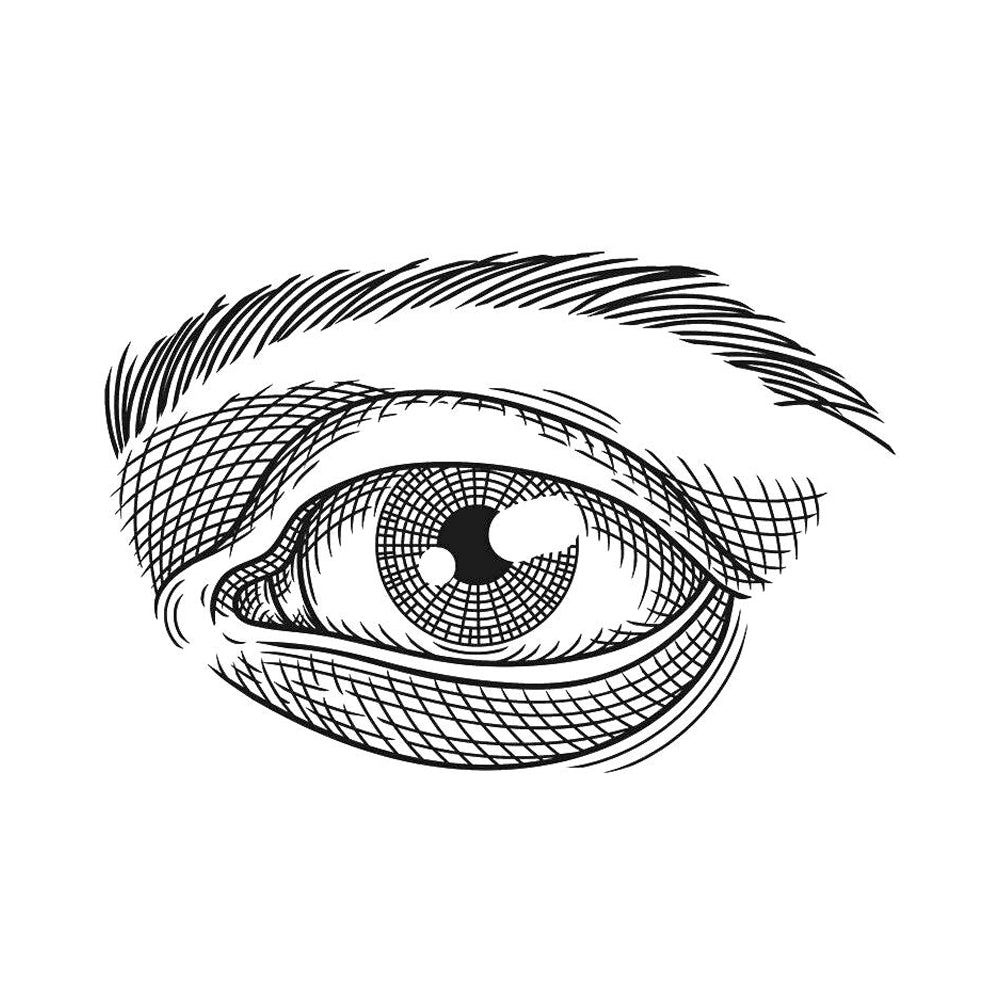 Piercing Stare 3 x 3 in