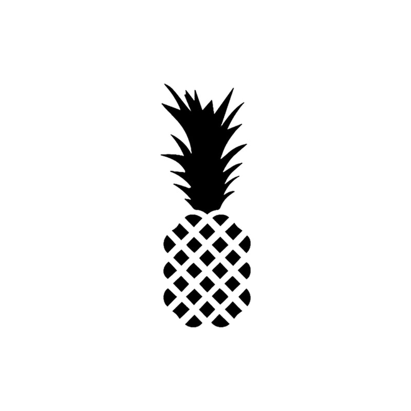 Pina 2 x 2 in