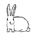 Lucky Rabbit 3 x 3 in