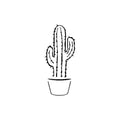 Prickly 2 x 2 in