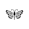 Metamorphosis 2 x 2 in