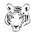 Felis Tigris 3 x 3 in