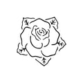 Tea Rose 2 x 2 in