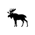 North Country 2 x 2 in