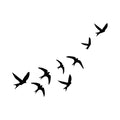 Flock 3 x 3 in