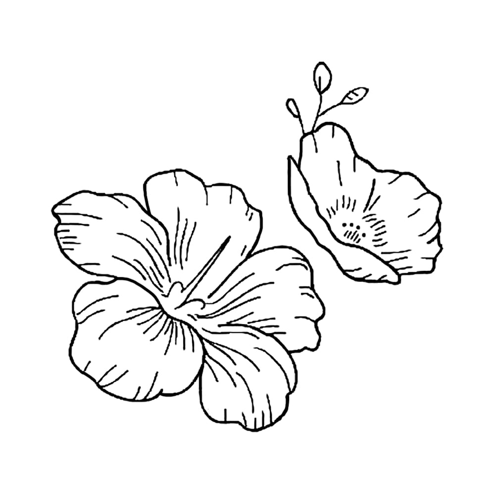 Camellia 3 x 3 in
