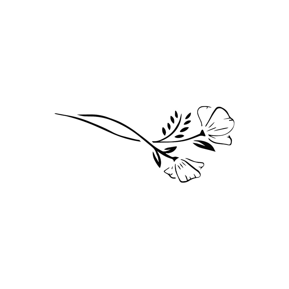 Wild Poppies 5 x 2 in