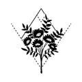 Saponaria 3 x 3 in