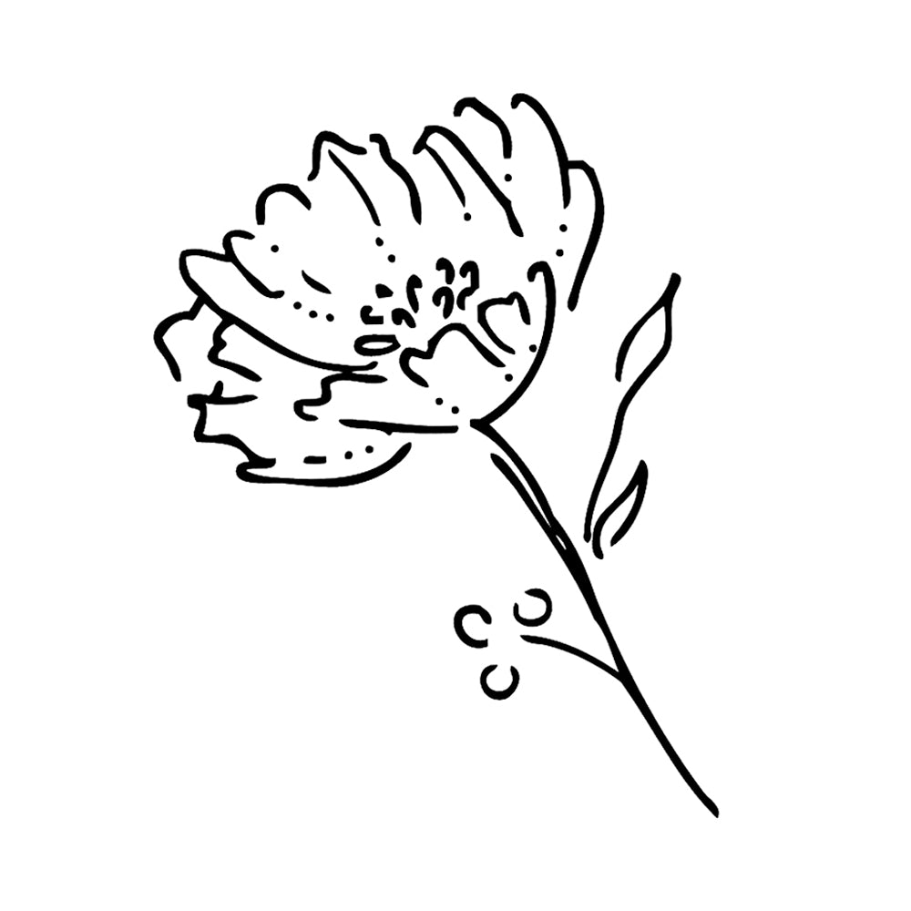 Yarrow 3 x 3 in