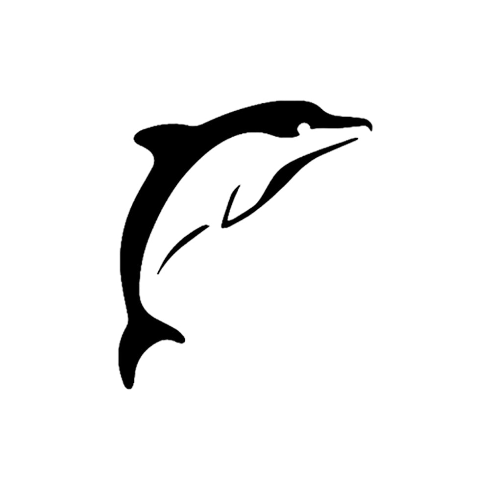 Dolphin 2 x 2 in