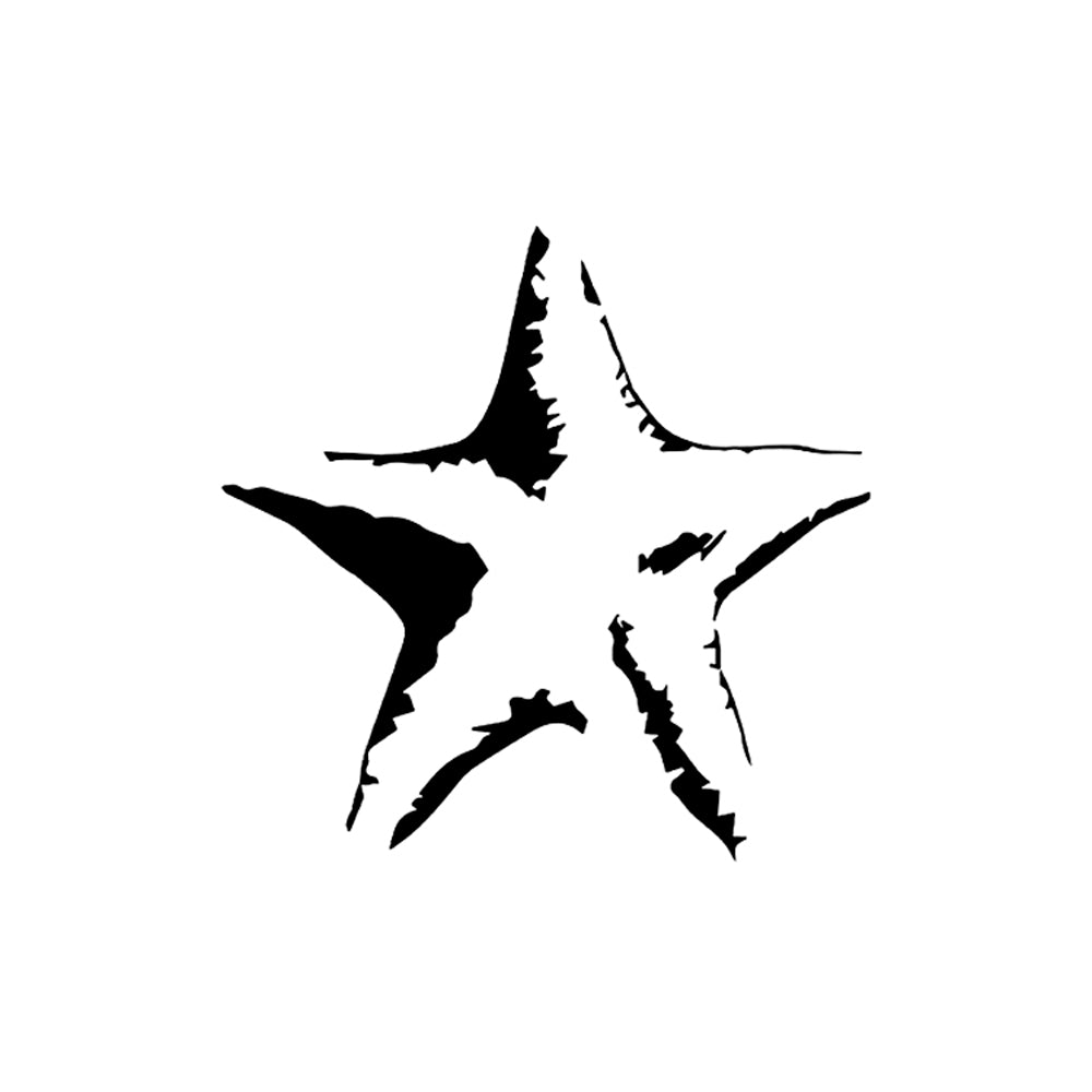 Sea Star 2 x 2 in