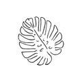 Monstera 2 x 2 in